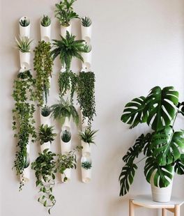 Przechowywanie roślin