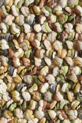 Dywan do salonu Marble zielony 200x300 wełniany vintage ręcznie tkany łatwoczyszczący