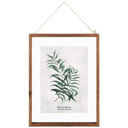 Ramka Leaves Burretiokentia drewniana