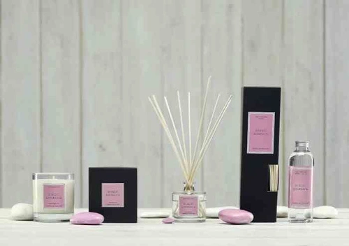 Dyfuzor Santiago Reed 100ml. Nordic angelic