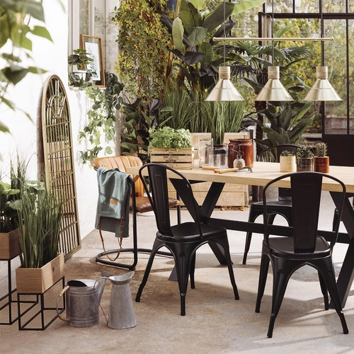 Ramka Leaves Burretiokentia drewniana