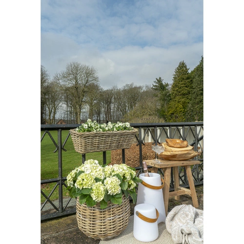 Lampka LED Bristol 21cm