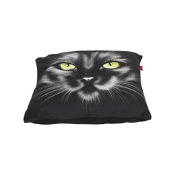 NERO poduszka dekoracyjna z nadrukiem kota 40x40 cm do salonu Intesi